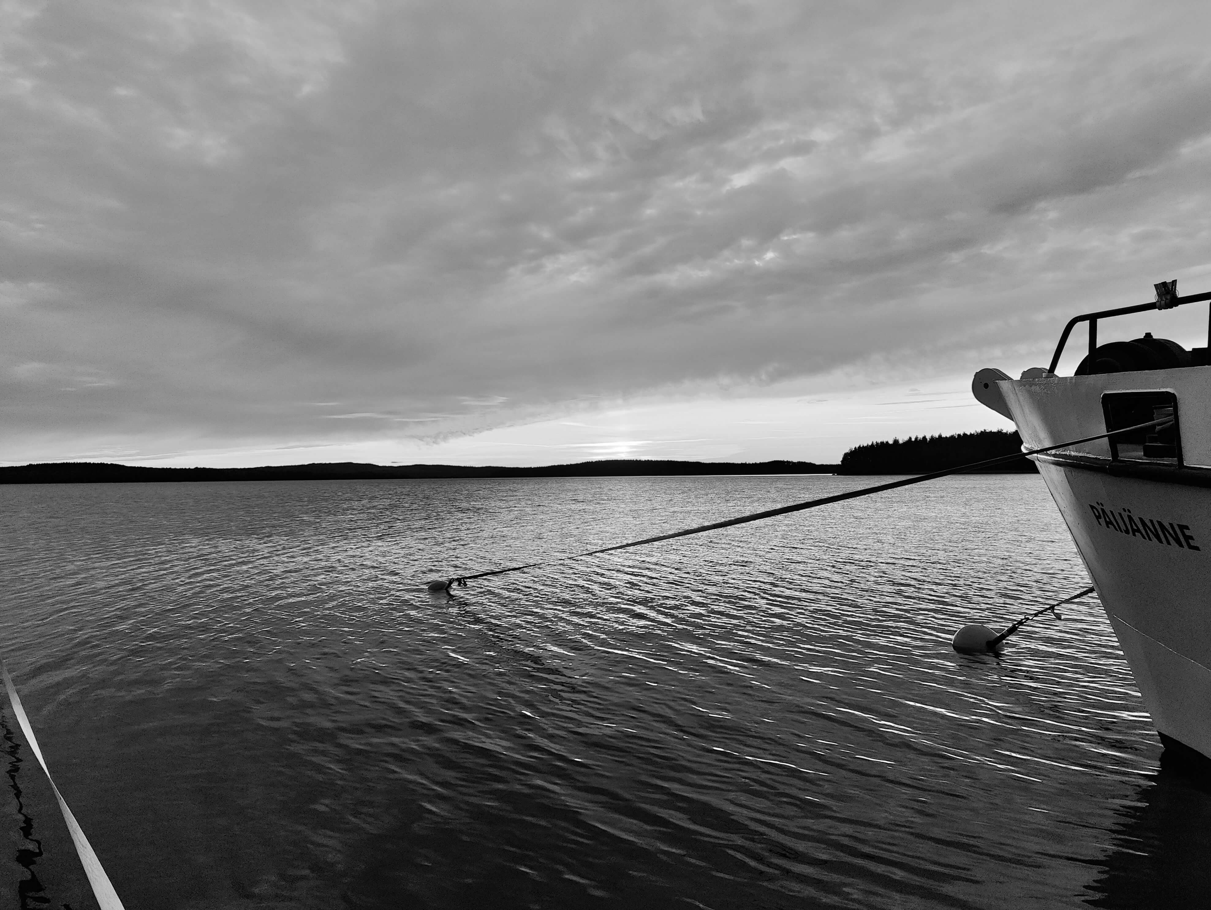 Work Where It Suits You Best: Liisa & Päijänne