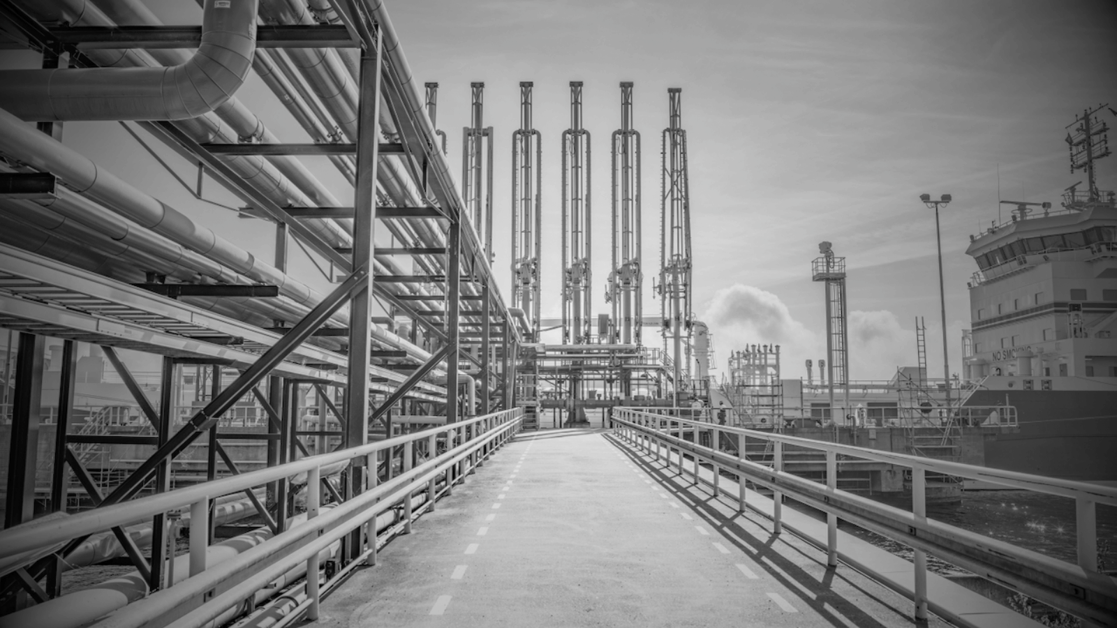 <em>Shaping</em> Neste's data journey over five years