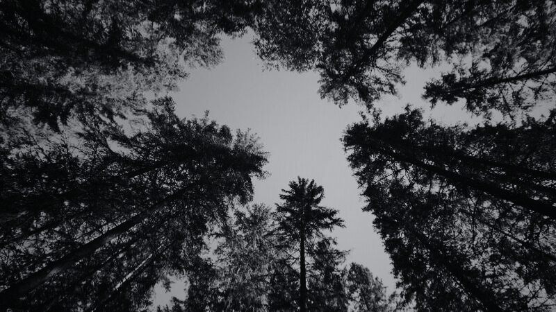 Recordly and UPM Energy case study